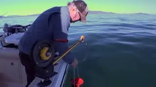 Berley Basics for Boat Fishing