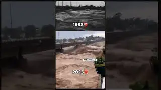 Apna Punjab | 1988 flood | 2025 flood #flood #highalert #1988 #2025 #viralshorts #foryou #trending