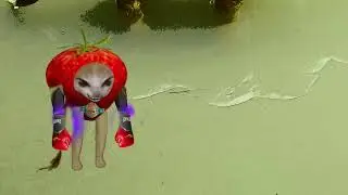 strawberry cat meme realhappy landoc fight club mutant and monsters evolution