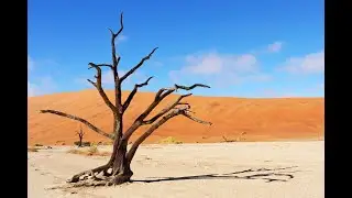 Afrika, Namibi&euml;, Botswana, Zambia