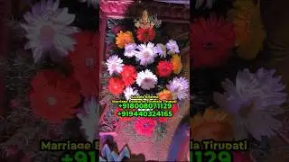 Best wedding planners in tirumala marriage halls in tirumala tirupathi #tirumala #tirupati#marriages