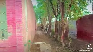 Government High school Mirdad Maufi Malik Mujahid Mirdadia New vlog brand