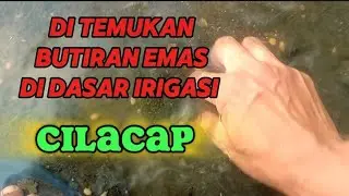 Penemuan Bongkahan Emas Di Sier Irigasi Di Cilacap