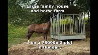 Large family house and horse farm on a 78000m2 plot