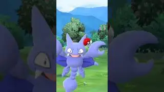 Shiny Gilgar is better ✨