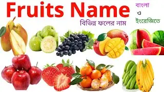 বিভিন্ন ফলের নাম বাংলা ও ইংরেজিতে | Learn name of Fruits in Bengali & English | Fruits name for kids