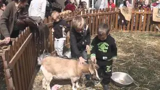 Mini Ferme Itin&eacute;rante