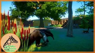 WHAT'S NEXT? Vol 1 || EP14 || DUNSWELL ZOO