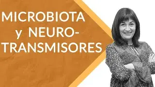 RELACIÓN DE LA MICROBIOTA CON LOS NEUROTRANSMISORES  (prof. Mar Alonso)