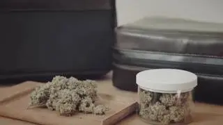 Traveling With Marijuana - Cannador - Marijuana Storage Case