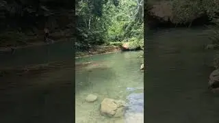 nature! #camarinessur #sipocotspot #viral #satisfying