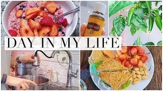 #32 DIML: What I Ate Today + Garden Update