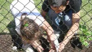 Children's Playground Renovation