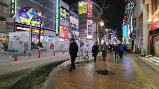 #susukino #iceart