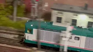 D 445 xmpr Piko