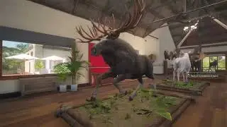 A year of GO moose hunting on Med-Ved Taiga.