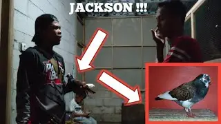 JACKSON, JUARA LAGI DI TANGAN MAS DEVAN REDAFFA