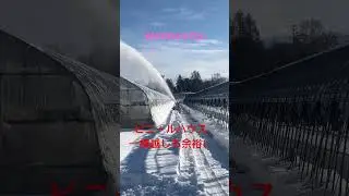 【WADO 4412A】#ワドー #除雪機 #農業機械 #snow #winter #除雪作業 #美瑛 #北海道