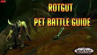 Rotgut Pet Battle Guide - Shadowlands