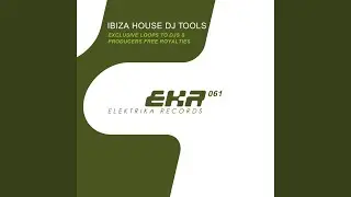 Ibiza Sound Synth Sidechain 2 (Tool 7)