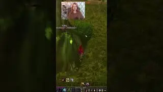 Стримы в WoW 👻 #wow #worldofwarcraft #warcraft #варкрафт #gamergirl #girlgamer #геймеры #girl