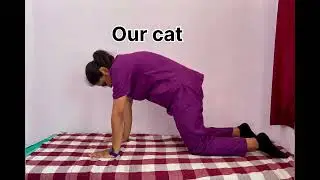 Animals ❌ physiotherapy poses✅ #physiotherapy #catcowpose #pelvicmuscles #exercises #animals