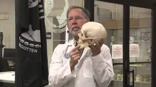 Joint POW/MIA Accounting Command Conducts Forensic Analysis on Two Civil War-Era Sailors