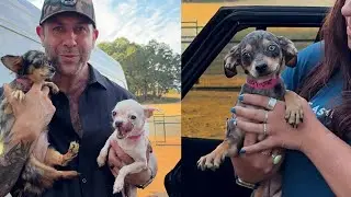 We rescued four special souls from an extremely large scale welfare case | Lee Asher