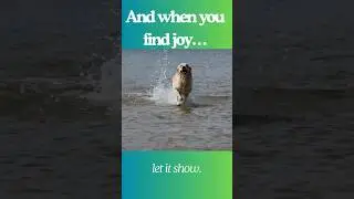 Run free. Chase joy. Live like a dog.