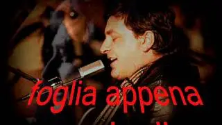 Pierangelo Bertoli - Insieme a te (M.Dieci-C.Ughetti)