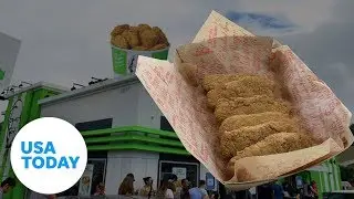 What do KFC's new plant-based nuggets taste like? | USA TODAY