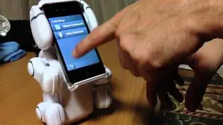 Techpet!