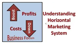 Understanding Horizontal Marketing System
