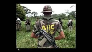La guerrilla en Colombia no existe hoy existen BACRIM