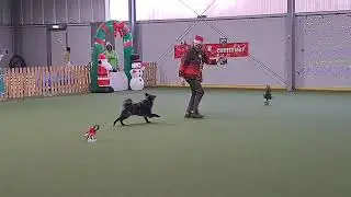 Darek, Weihnachts Funturnier Bargteheide 2025