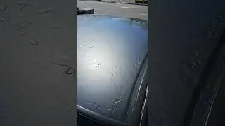 CERAMIC COATING FAILURE😱 MAYBE NOT! WATCH THIS! #youtubeshorts #youtube #autodetailing
