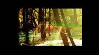 childish Gambino x Dave x trap type beat. 