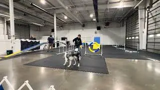 (1/12/26) Agility, Session 2