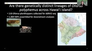 May 29, 2025 - Speciation