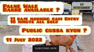 Deonar Bakra Mandi 11 July 2022 Interview & Condition