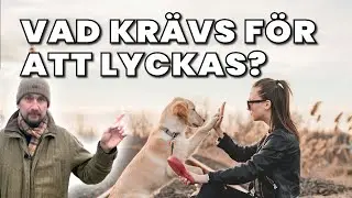 Hundträningens största missförstånd – Du missuppfattar ditt problem!