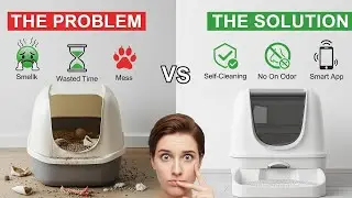 This Cat Litter Box PAYS FOR ITSELF. Here's The Math.