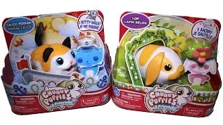 Chubby Puppies and Friends Persian Calico Cat and Lop Ear Bunny Unboxing Review