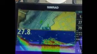 SIMRAD NSS EVO2  SCHOOL SMALL BLUES FISH