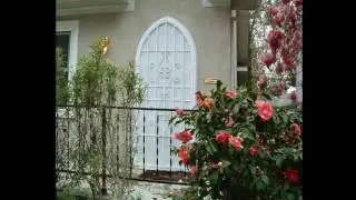 Iron Security Gates -  