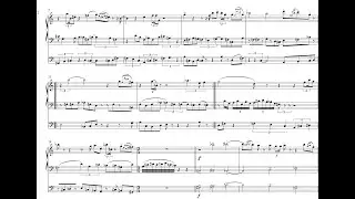 Morgan Hayes - Guided Tour and Species for Organ (2024) [Score-Video]
