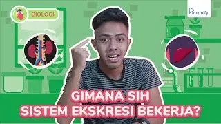 Biologi Kelas 11: Sistem Ekskresi - Pembuangan Zat Sisa Metabolisme