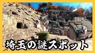 【犬連れ旅】埼玉県にある謎の遺跡、実は〇〇でした。【吉見百穴】