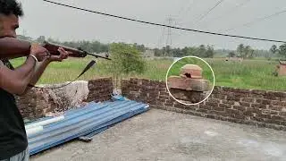 Hunting Deer🦌 | Killing Deer🦌 | Deer Hunter |  Bird's🐦killer  | Hunting Birds🐦 #viral  #trending 