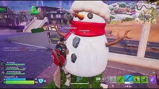 Fortnite. Winning as Wendell with my wolves and a raccoon